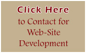 Contact for Website Development
